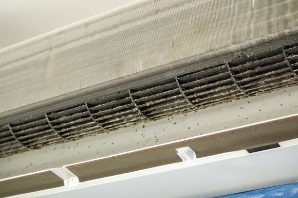 Best Emergency Air Duct Cleaning  in Pryor Creek, OK